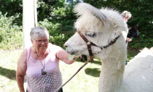 Description de l'image